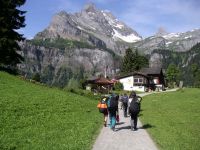 braunwald2