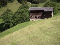 braunwald3
